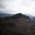 The Impact of Industries and Economic Factors on Politics in Northwest Oregon