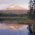 The Political Landscape of Northwest Oregon: A Historical Perspective
