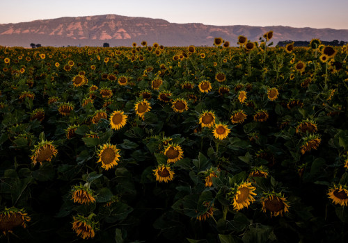 The Dynamic Political Landscape of Northwest Oregon
