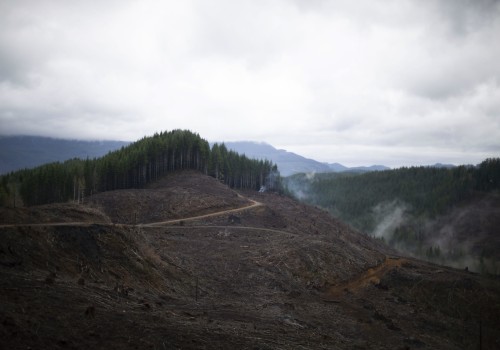 The Interplay Between Economy and Politics in Northwest Oregon